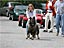 bild-04